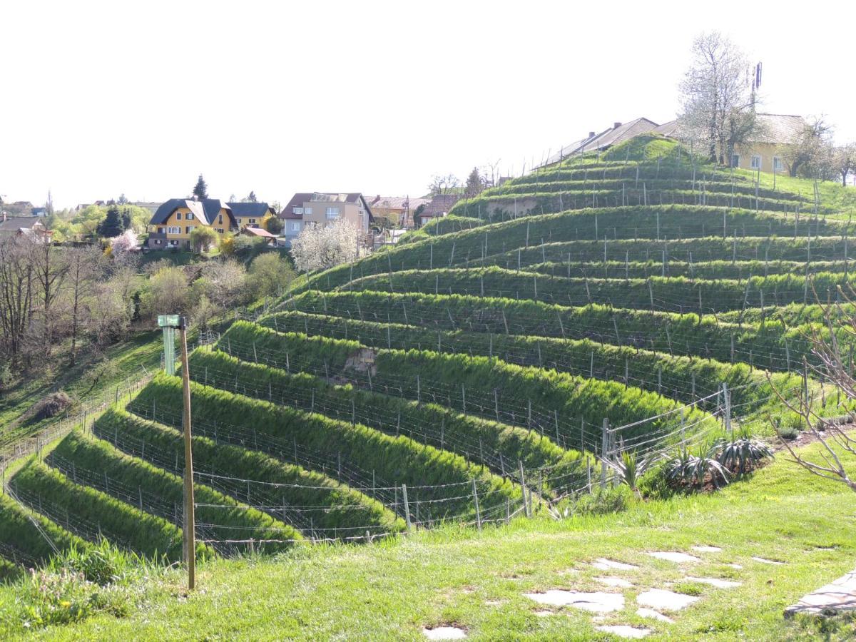 Weingut Albert, Familie Cramer Acomodação com café da manhã Kitzeck im Sausal Exterior foto