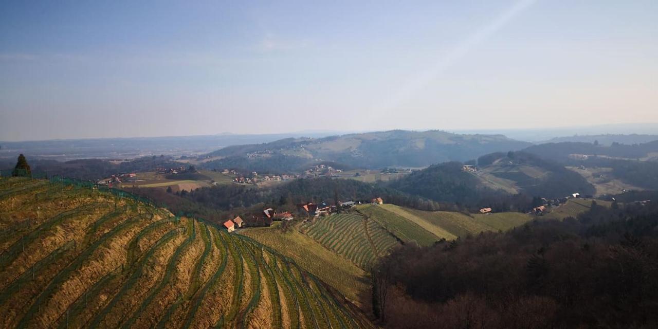 Weingut Albert, Familie Cramer Acomodação com café da manhã Kitzeck im Sausal Exterior foto