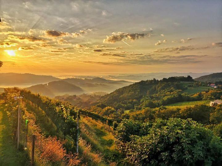 Weingut Albert, Familie Cramer Acomodação com café da manhã Kitzeck im Sausal Exterior foto